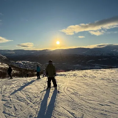 Fjellhytte Med Jacuzzi, Badstue Mulighet *