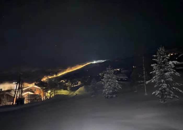 Semesterbostad No 105 Kongelberget *