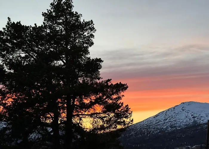 No 105 Kongelberget Semesterbostad *